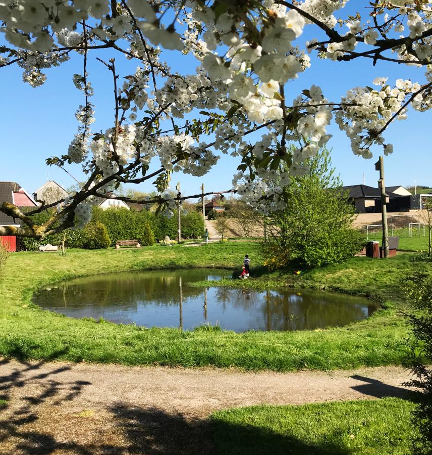 Hjertesøen i Voldum - midt i Favrskov