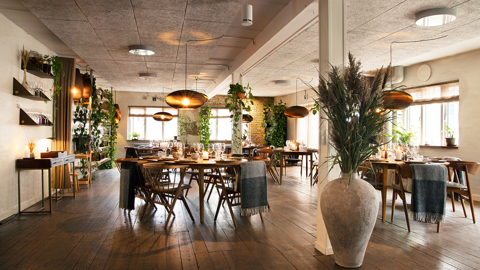 Orangeriet hos restaurant Domestic i Aarhus