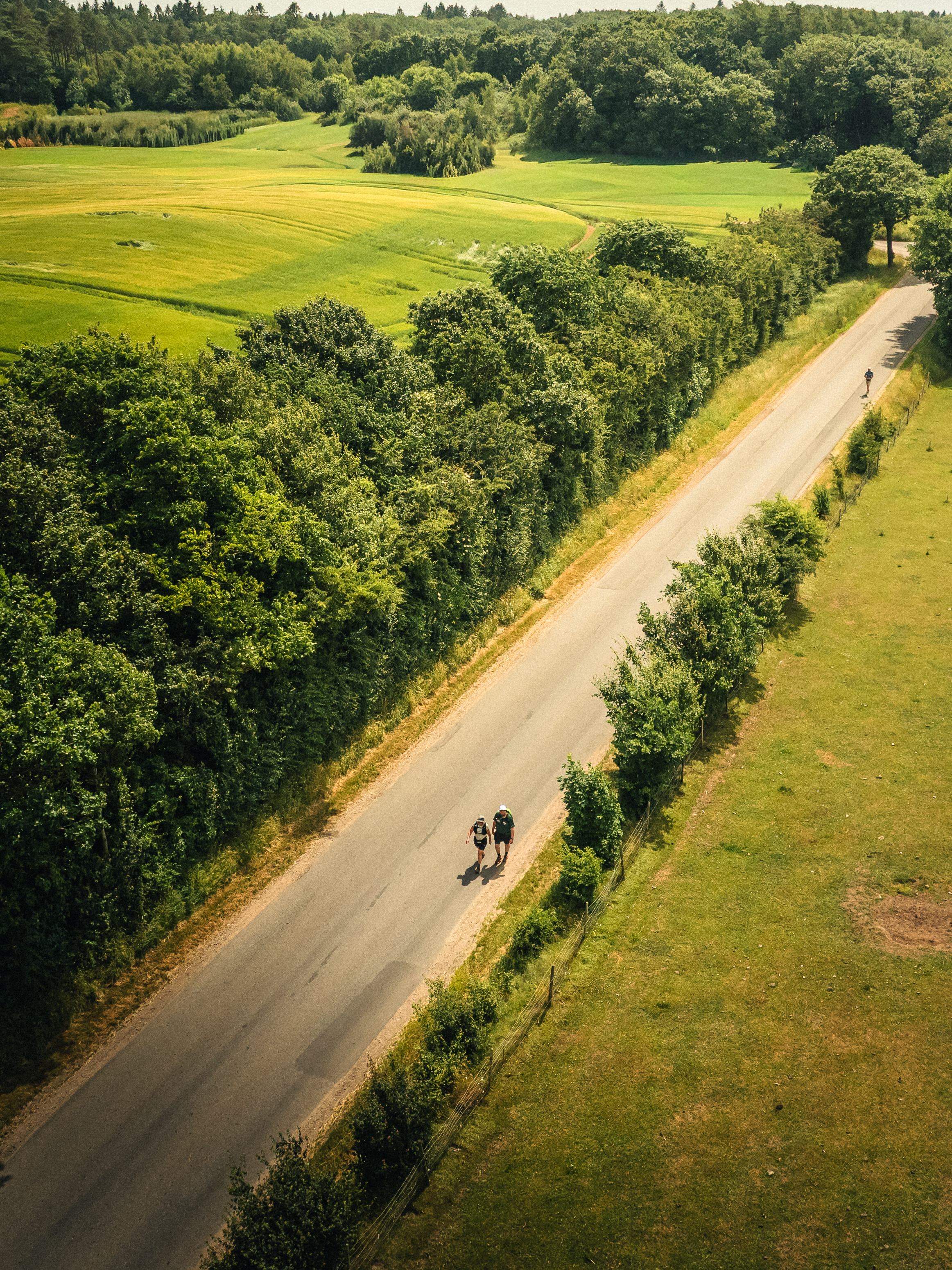 Hærvejsmarch ved Viborg