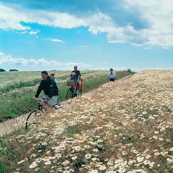 Biking holiday in Danmark