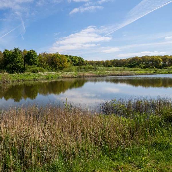 True Skov lake in Aarhus