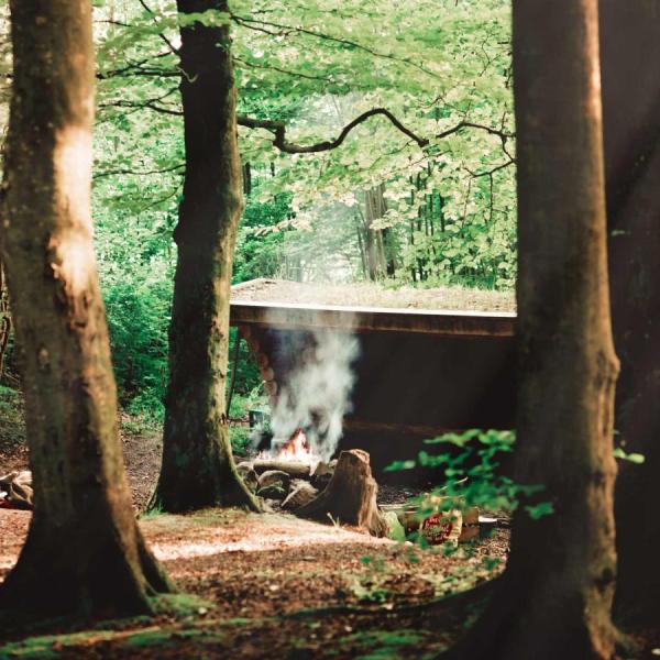 Lisbjerg Forest Shelter, Aarhus