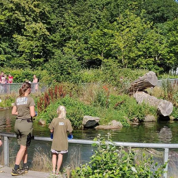 Feeding the otters in AQUA Aquarium & Wildlife Park