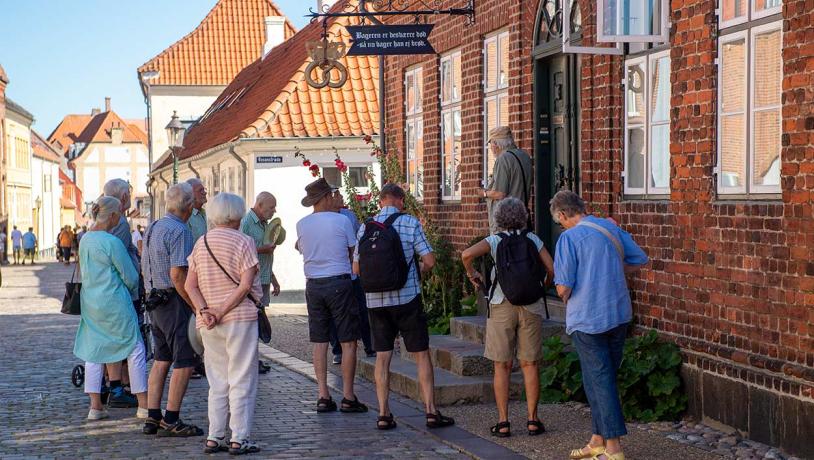 Guidet tur i Viborg