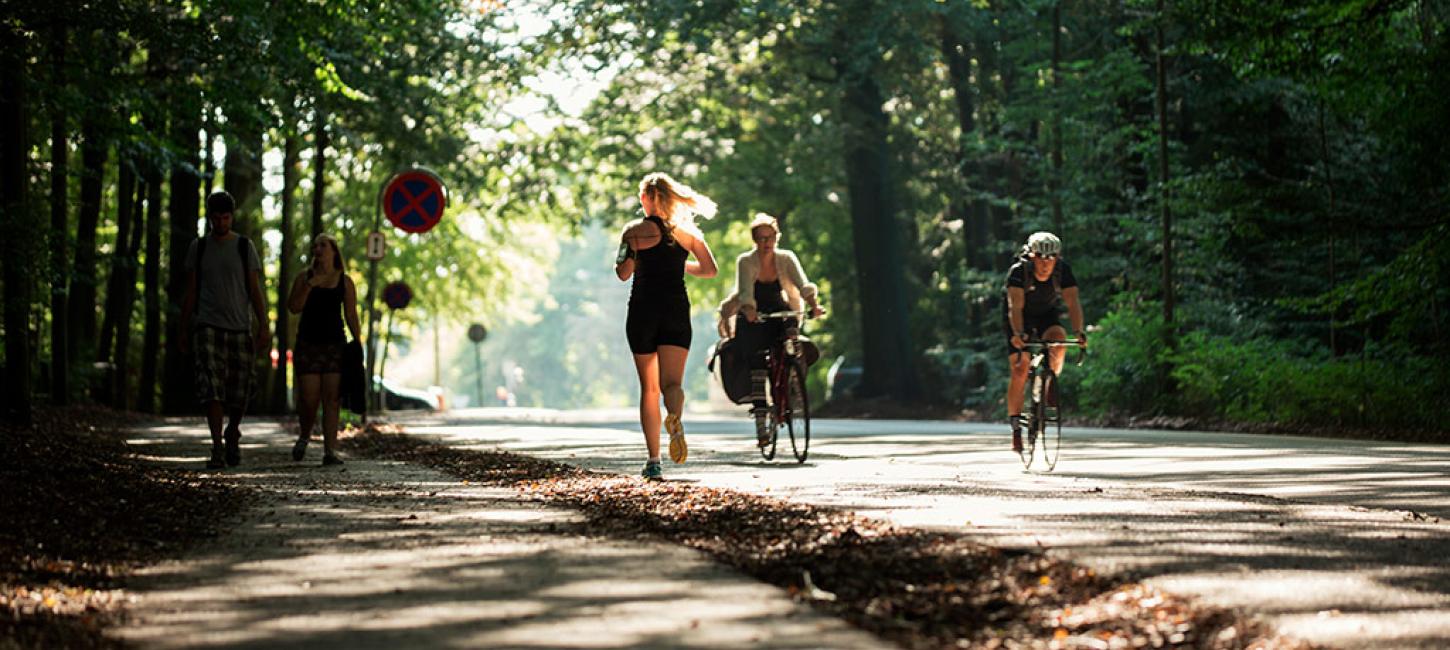 Running in Marselisborg Skov, Aarhus