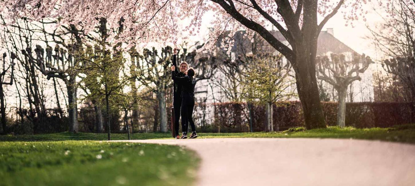 Spring and cherry blossoms in the Memorial Park, Aarhus