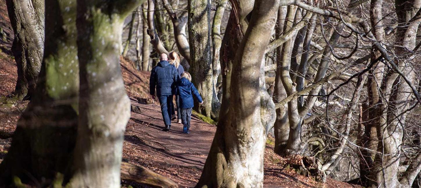 Family hiking in Dollerup Hills by Viborg