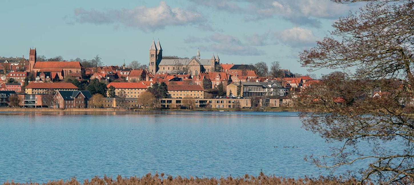 The cathedral and lake in Viborg