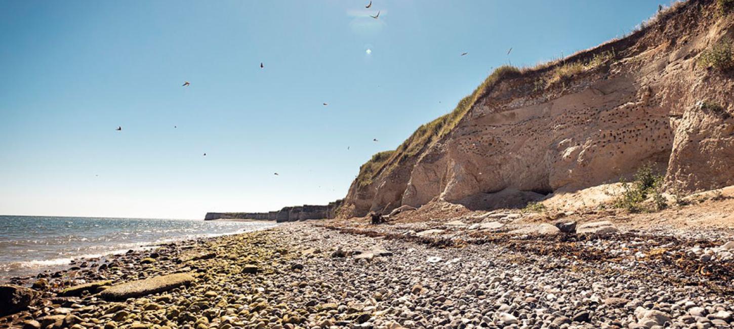 Karlby og Sangstrup klinter strand på Djursland