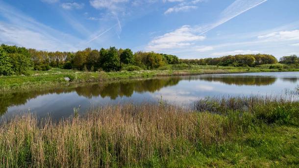 True Skov lake in Aarhus