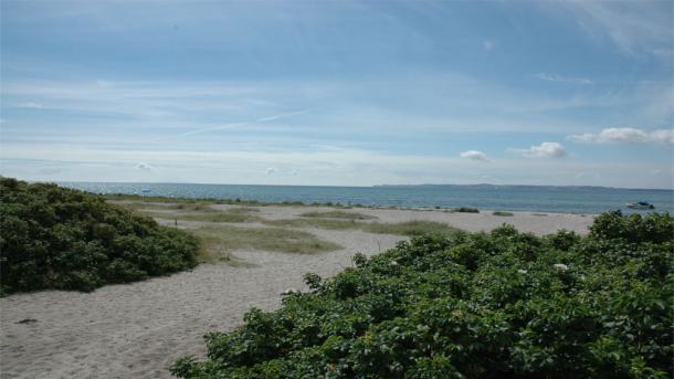 Ahl Plantage på Djursland