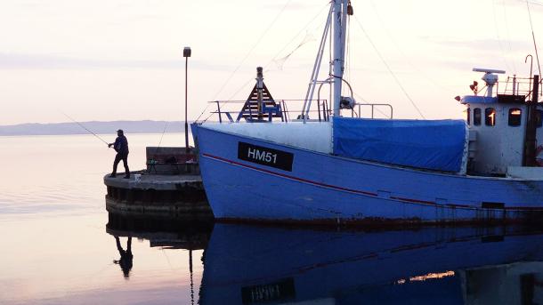 Fishing from the harbour in Ebeltoft on Djursland