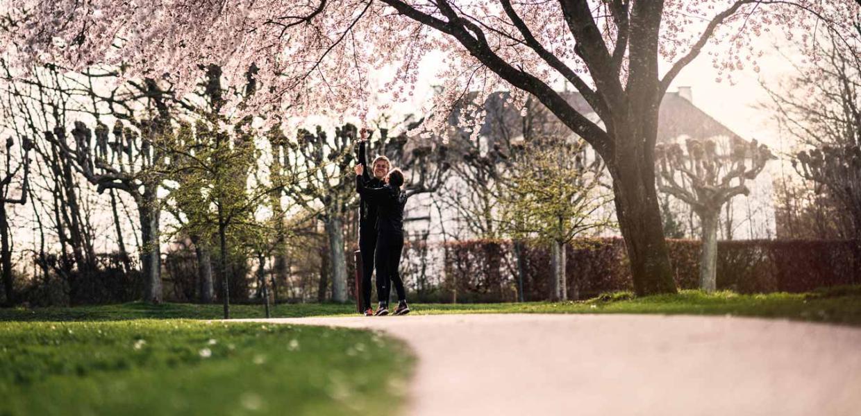 Spring and cherry blossoms in the Memorial Park, Aarhus
