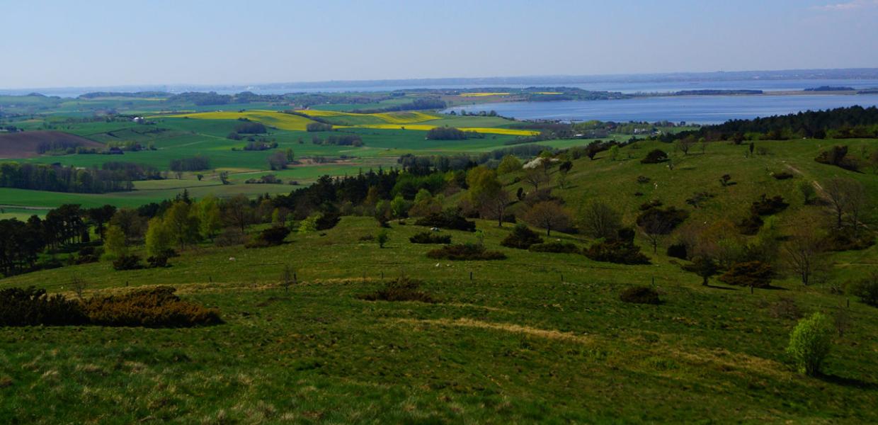 Nationalpark Molsbjerge på Djursland