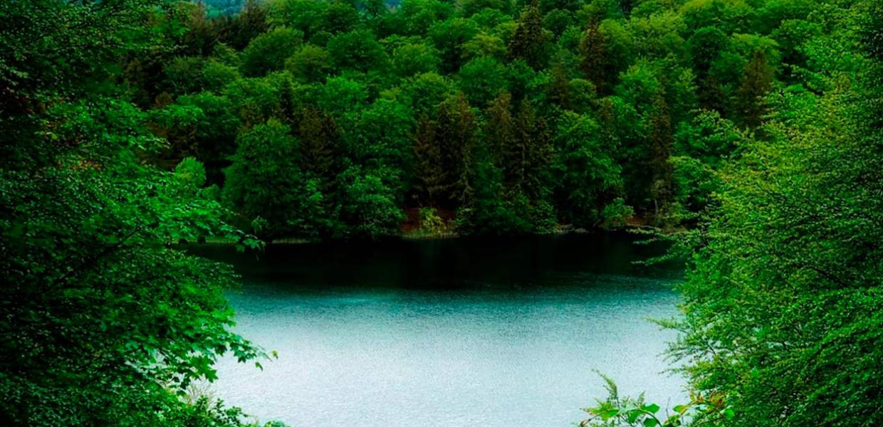 Views over the lake and forest at Slåensø Lake by Silkeborg