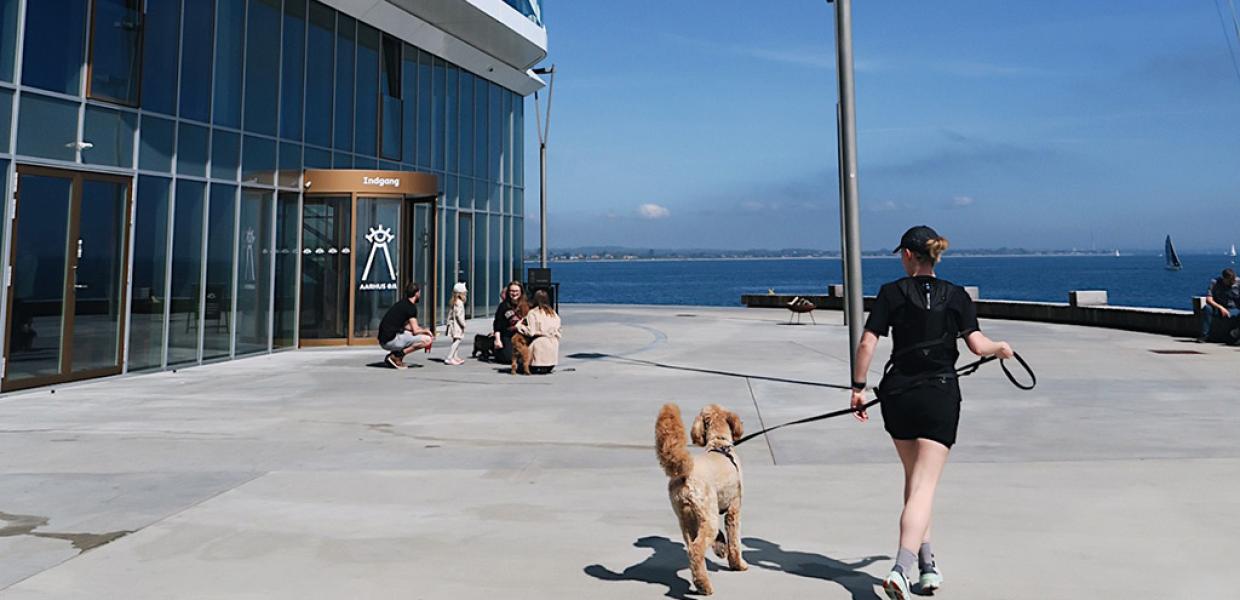 Besøg på Aarhus Øje med hund
