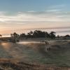 Sunrise in the Danish National Park Mols Bjerge on Djursland