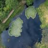 Hiking in Undallslund Forest by Viborg