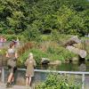 Feeding the otters in AQUA Aquarium & Wildlife Park