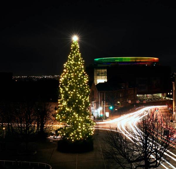 Christmas tree by the City Hall, Aarhus