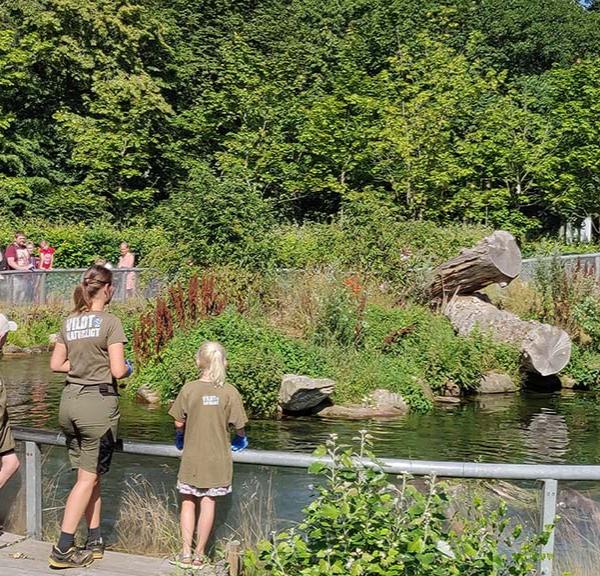 Feeding the otters in AQUA Aquarium & Wildlife Park