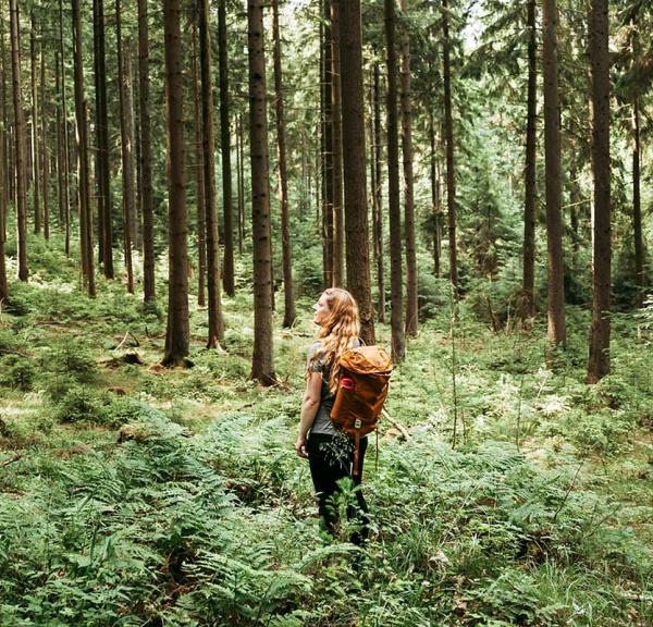 Hiking in the Silkeborg Forests in Denmark