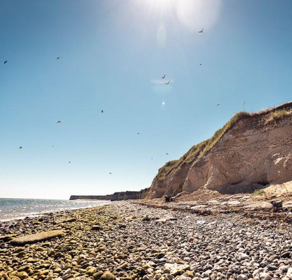 Karlby og Sangstrup klinter strand på Djursland