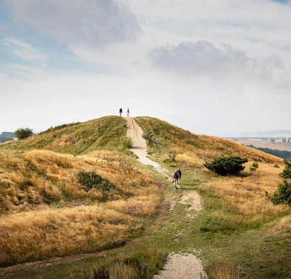 Trehøje i Mols Bjerge på Djursland