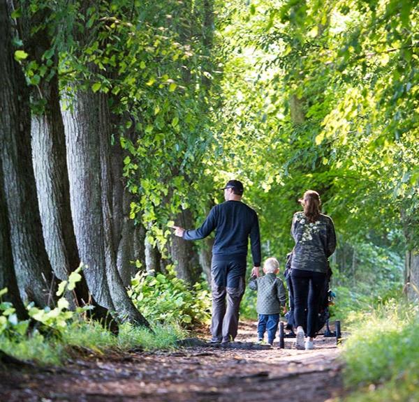 Familietur i skoven i Viborg