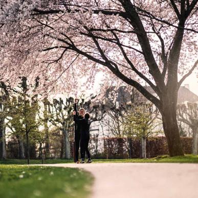 Spring and cherry blossoms in the Memorial Park, Aarhus