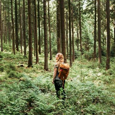 Hiking in the Silkeborg Forests in Denmark