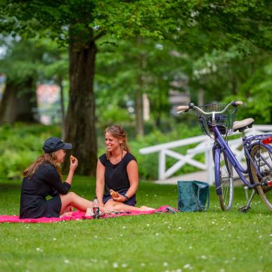 Borgvolden i Viborg