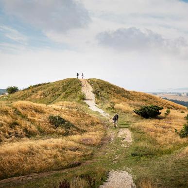 Trehøje i Mols Bjerge på Djursland