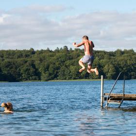 Go for a swim in Hald Lake by Viborg