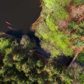 Kayaks on the lakes by Silkeborg in Denmark