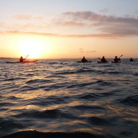 Kayaking on the ocean by Djursland's coast