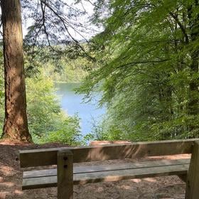 Guidede ture med SilkeborgCaminoen