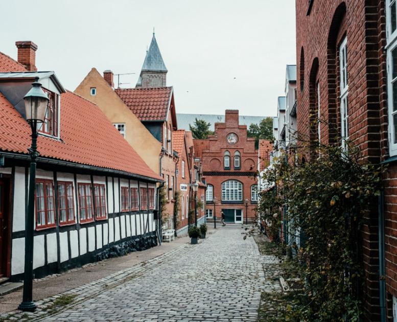 Viborg by