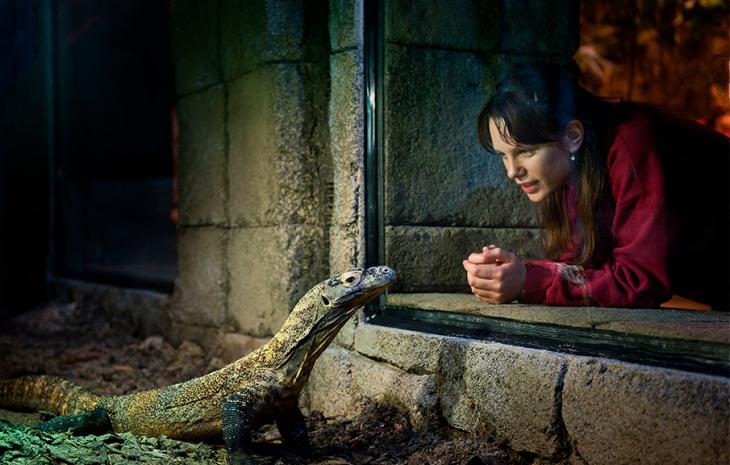 Tæt på dyrene i Randers Regnskov